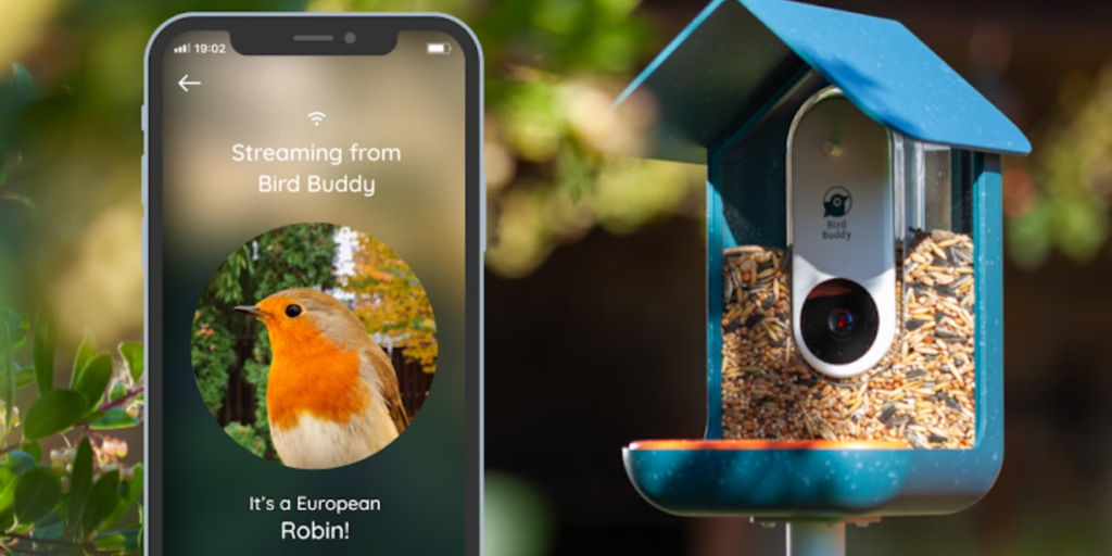 Evaluating Bird Buddy, An AI-infused Bird Feeder Gadget!